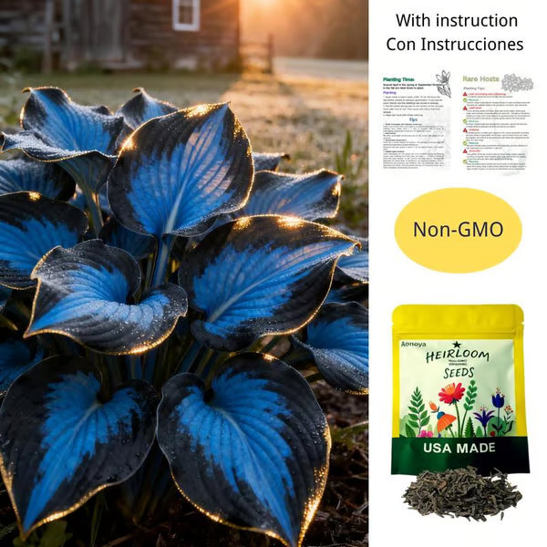🔥Premium Rare Hosta Seeds🌿Shade-Tolerant Plant - Rainbow