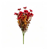 Autumn Red