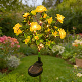 Yellow Azalea