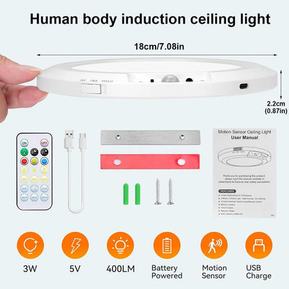 🌞Rechargeable Motion Sensor Ceiling Light 🏡