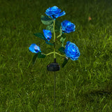 Blue Rose