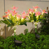 Pink Lily