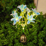 Blue Lily