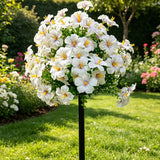 Morning Glory White