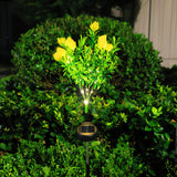Yellow Gardenia