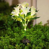 White Lily