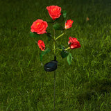 Red Rose