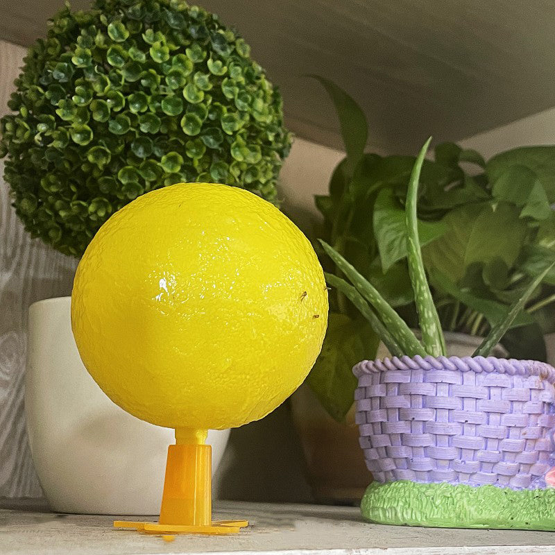 🍎 Sticky Fruit Fly Trap Ball with Optional USB LED Light 🪰